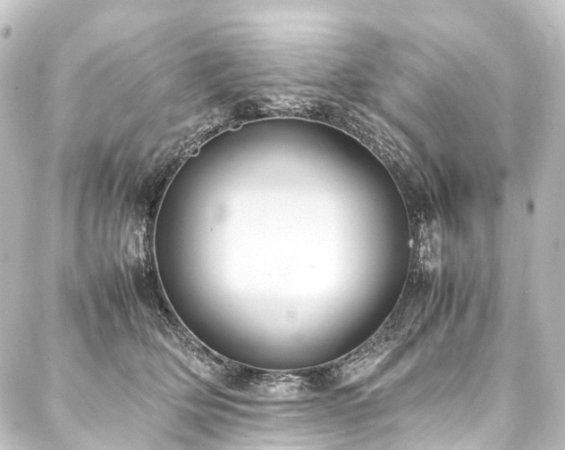 X0000088210514200705151346