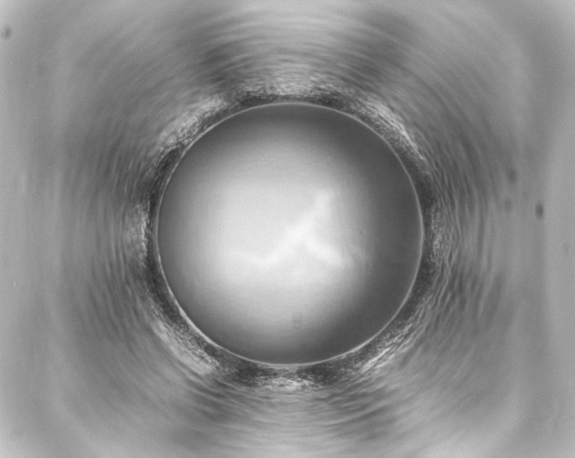 X0000088210542200705151345