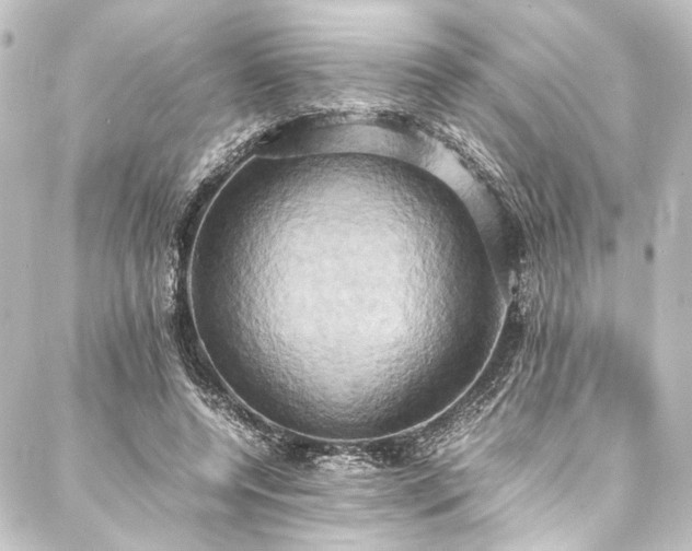 X0000088210544200705151345