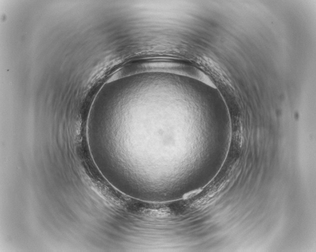 X0000088210548200705151345