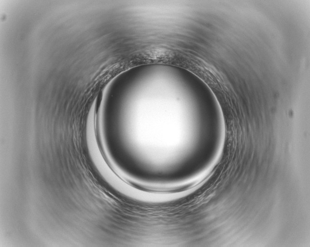 X0000088210558200705151345