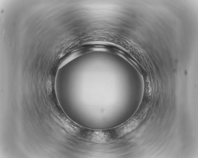 X0000088210562200705151345
