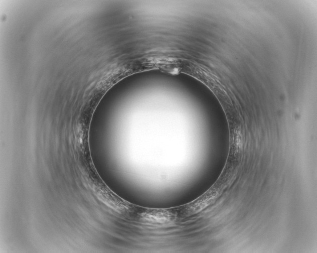 X0000088210567200705151345