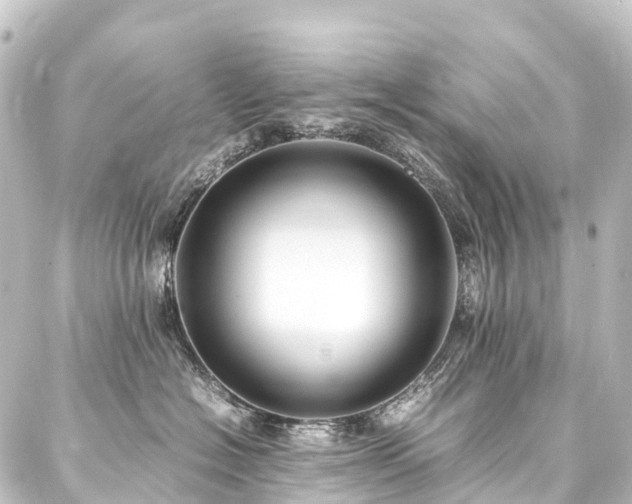 X0000088210574200705151345