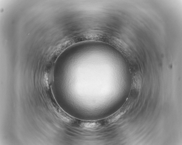 X0000088210575200705151345