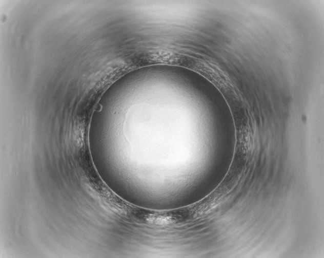 X0000088210602200705151344