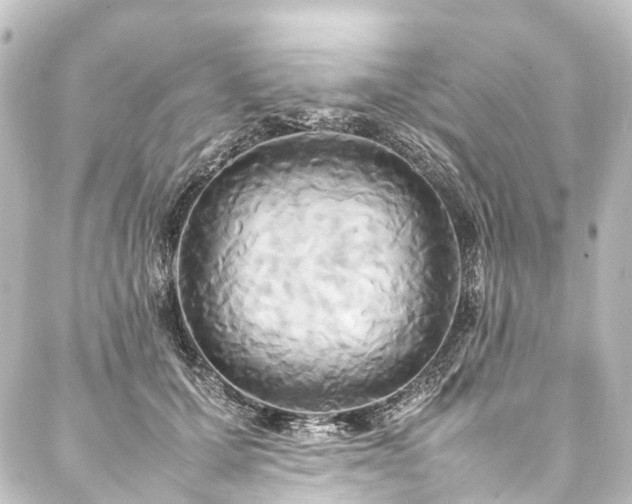 X0000088210607200705151344