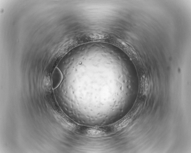 X0000088210614200705151344