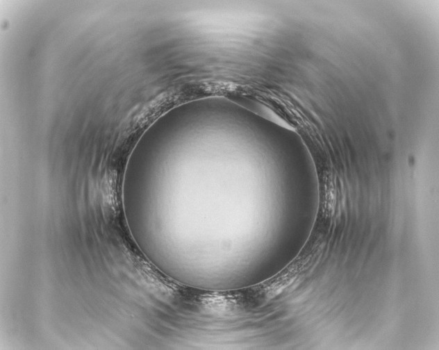 X0000088210616200705151344