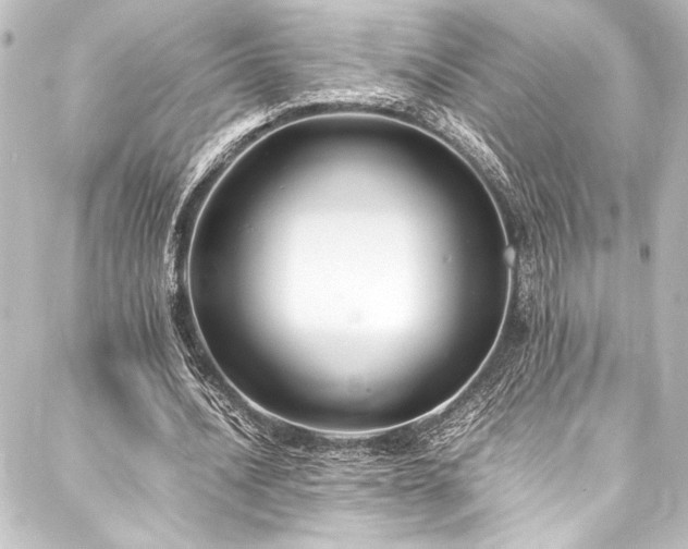 X0000088210628200705151343