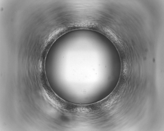 X0000088210636200705151343
