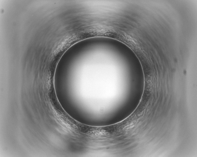 X0000088210642200705151343