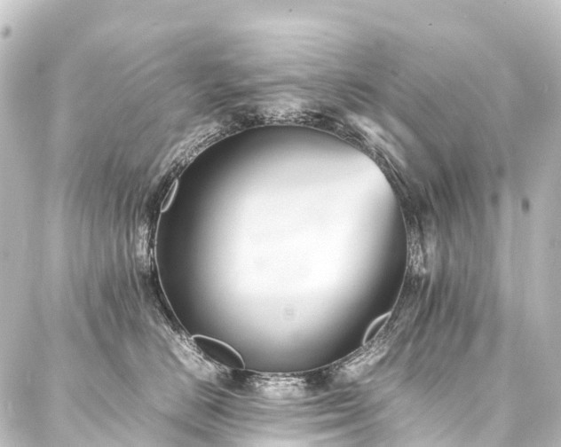 X0000088210670200705151344