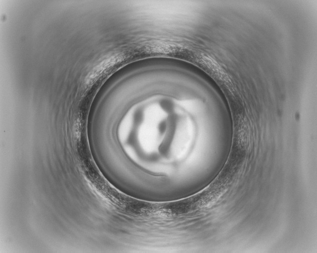 X0000088210683200705151343