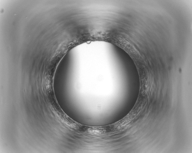 X0000088210706200705151343