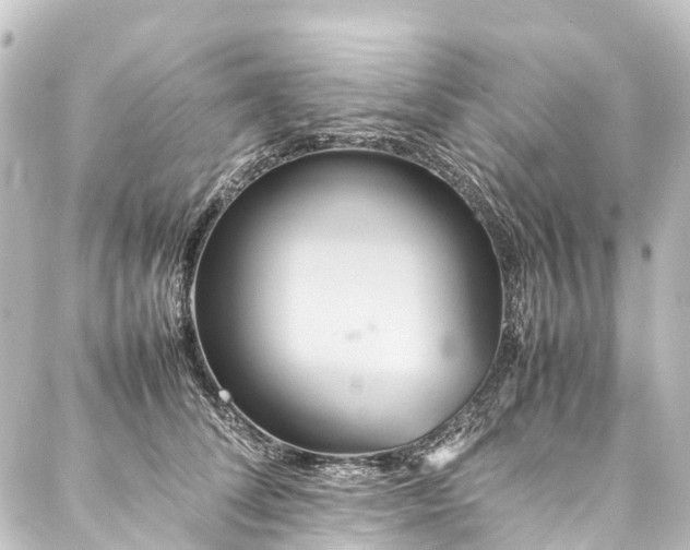X0000088210708200705151343