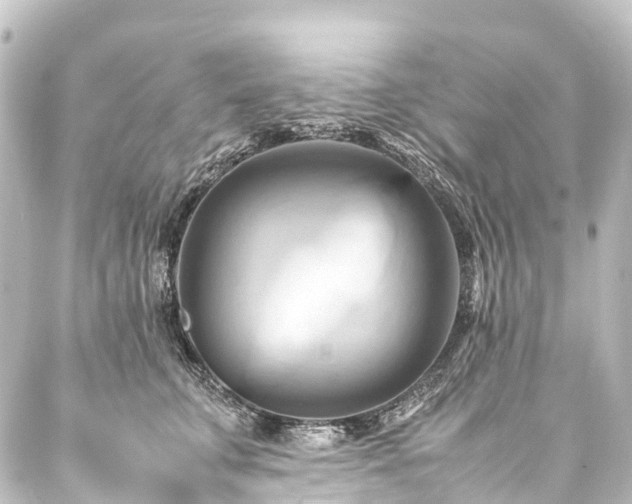X0000088210711200705151343