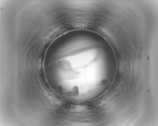 X0000088210737200705151342