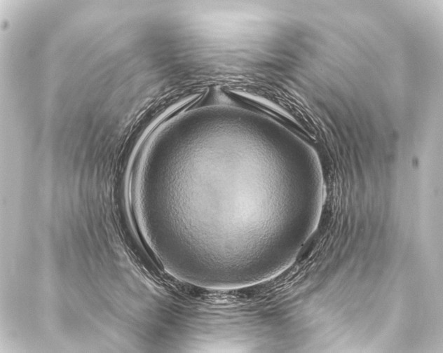 X0000088210750200705151342