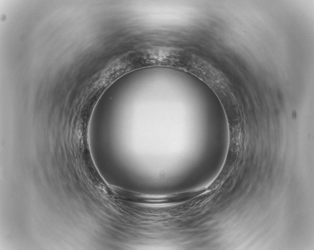 X0000088210754200705151342