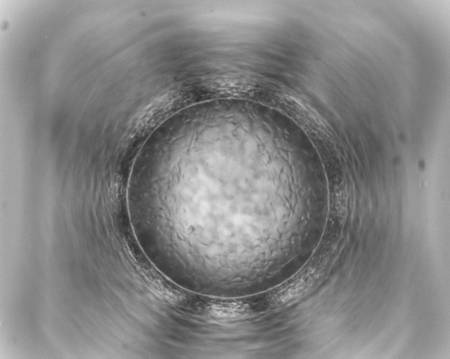 X0000088210757200705151342