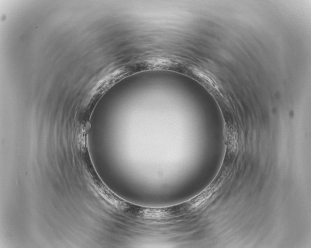 X0000088210766200705151342