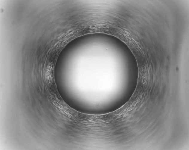 X0000088210770200705151342