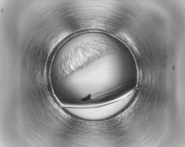 X0000088210780200705151341
