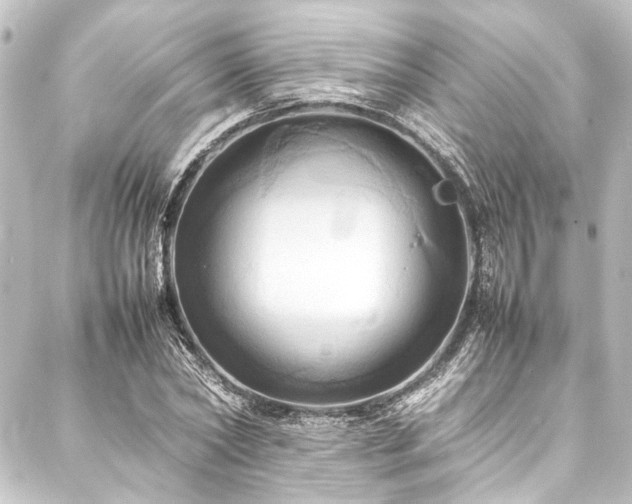 X0000088210782200705151341