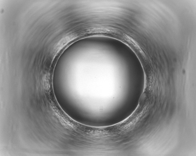 X0000088210786200705151341