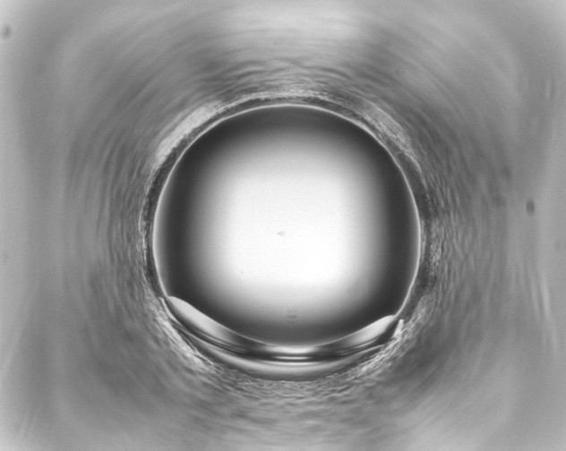 X0000088210789200705151341