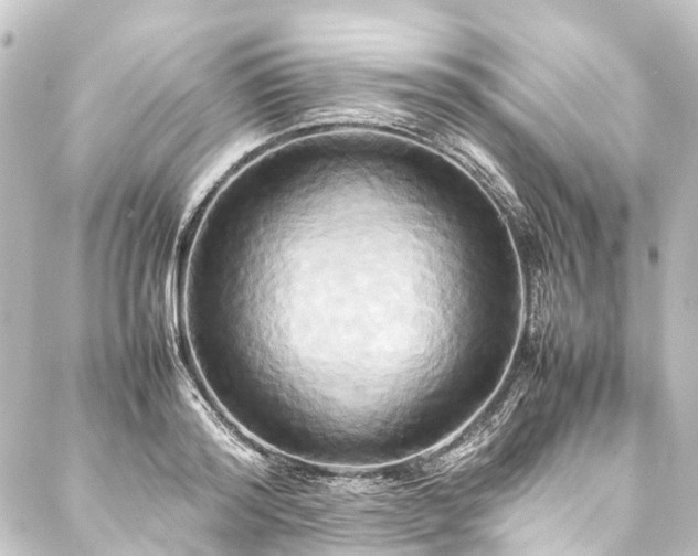 X0000088210796200705151341