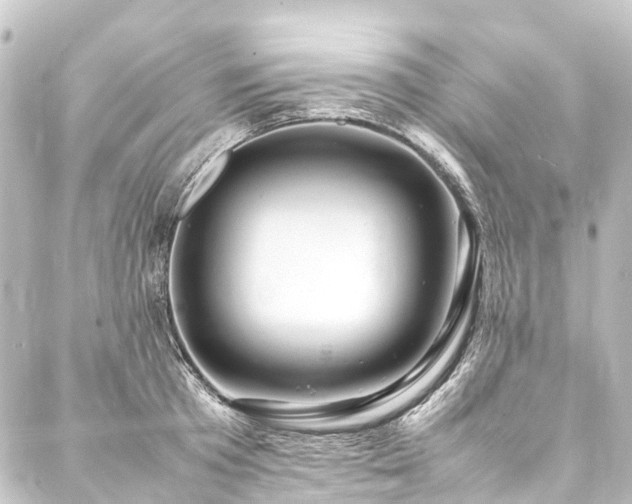 X0000088210801200705151341
