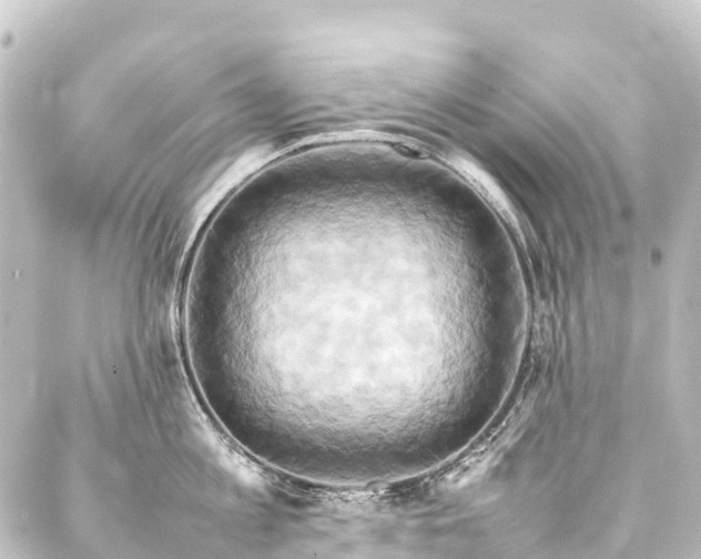 X0000088210813200705151341