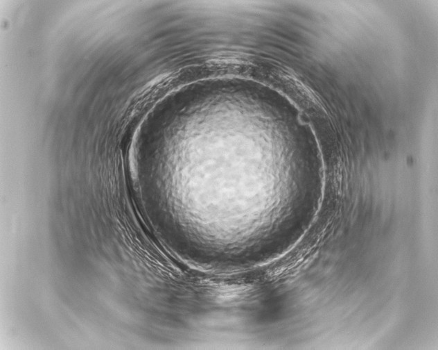 X0000088210821200705151340