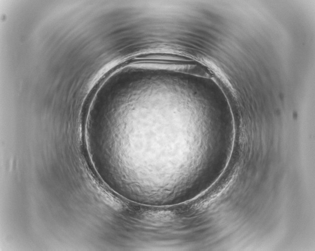 X0000088210837200705151340