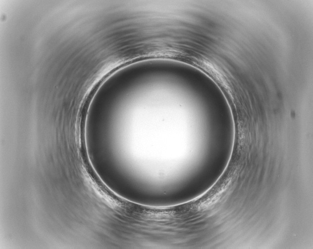 X0000088210843200705151340