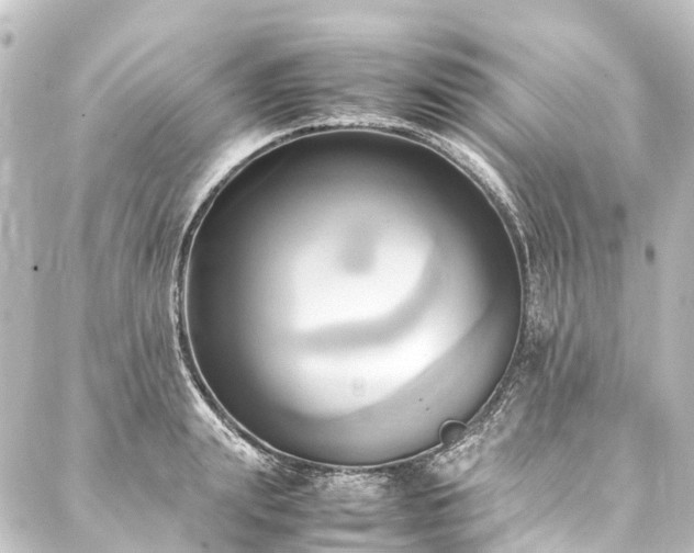 X0000088210847200705151341