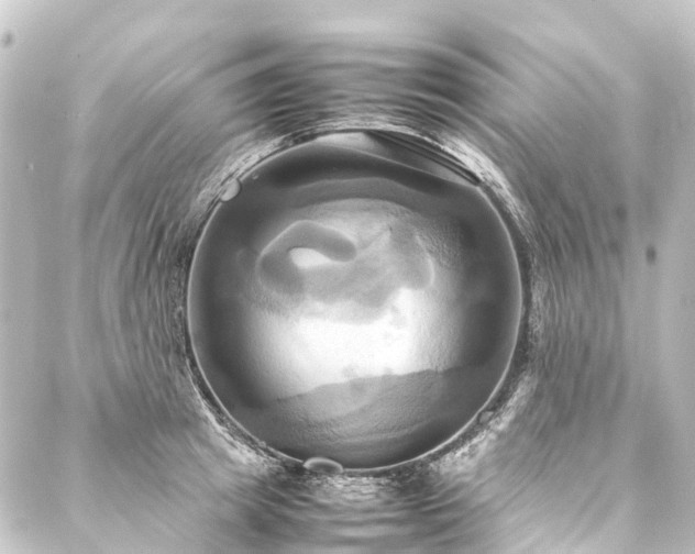 X0000088210849200705151341