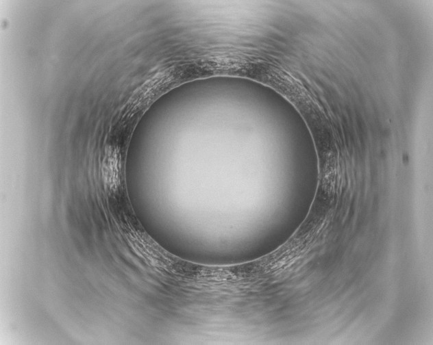 X0000088210866200705151340