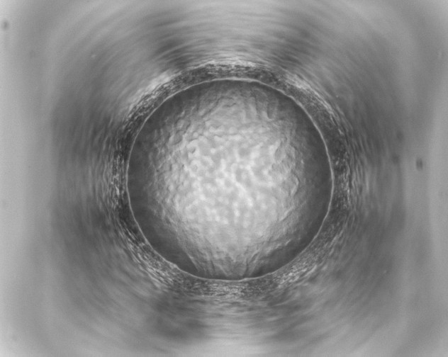 X0000088210870200705151340