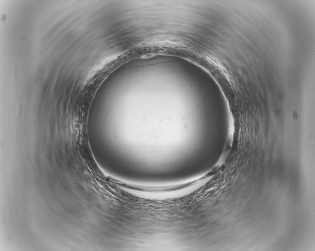 X0000088210872200705151340