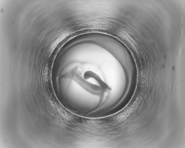 X0000088210875200705151340
