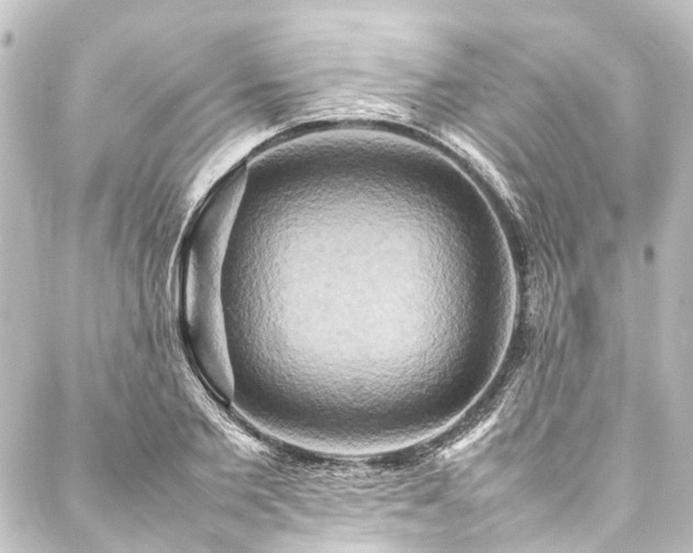 X0000088210885200705151340