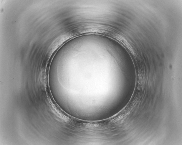 X0000088210890200705151340