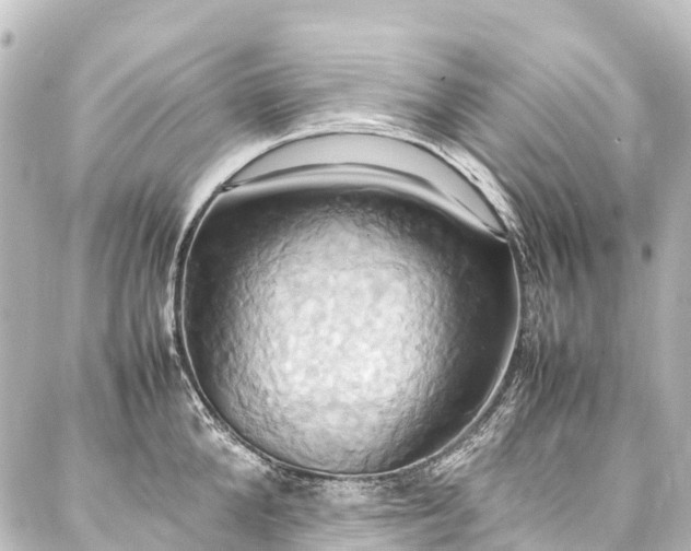 X0000088210904200705151339