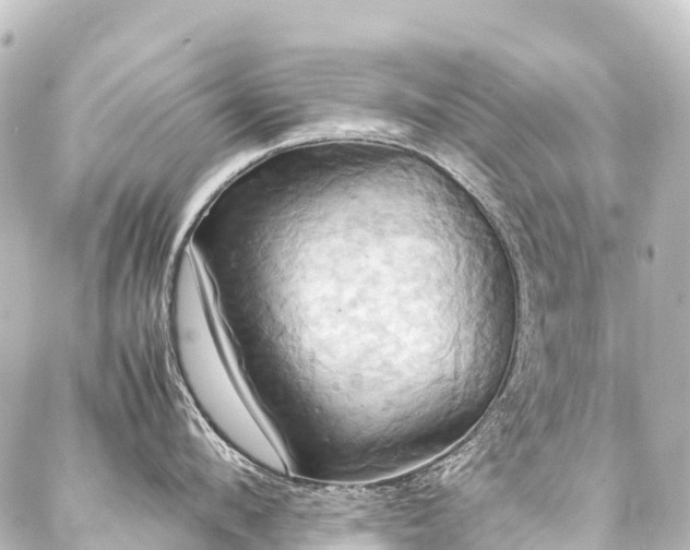 X0000088210912200705151339