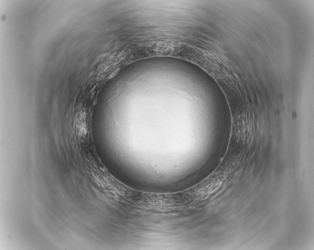 X0000088210962200705151338