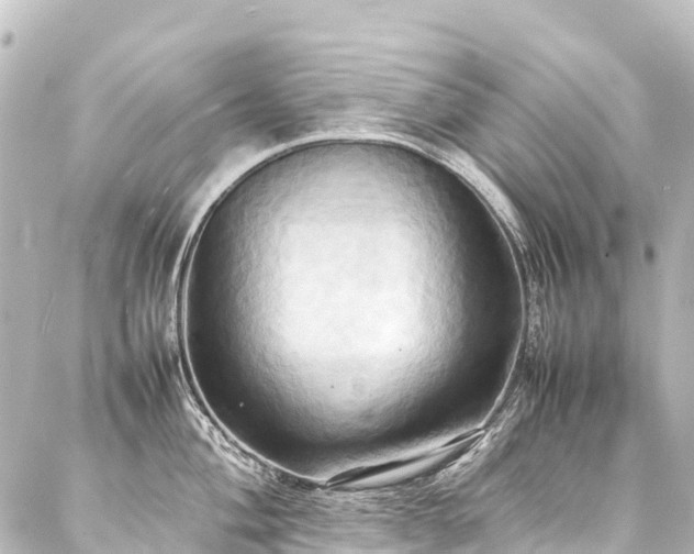 X0000088211004200705151338