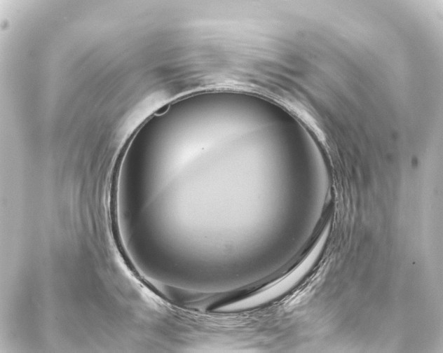 X0000088211007200705151338